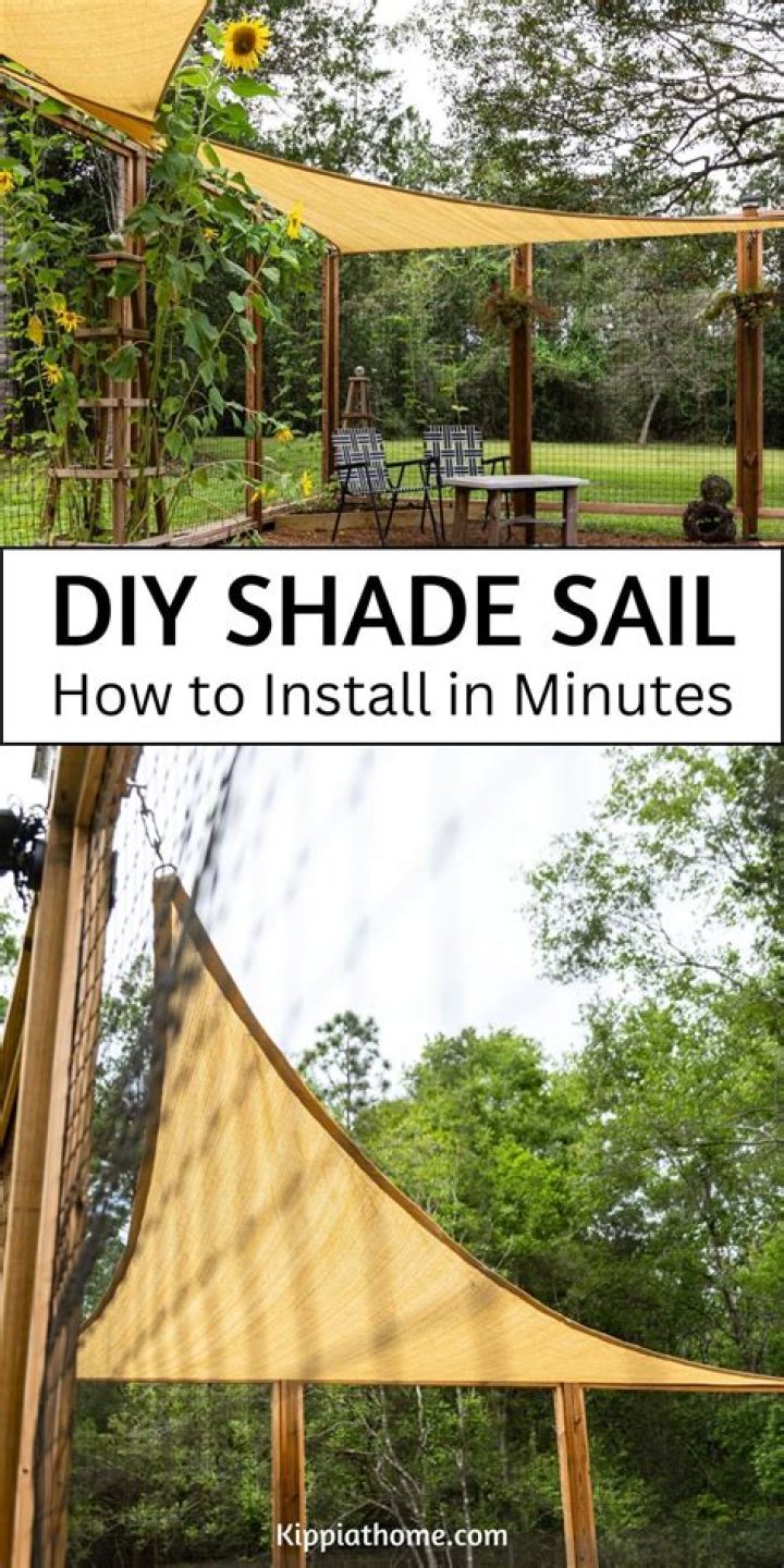 Backyard shade - How To Discuss