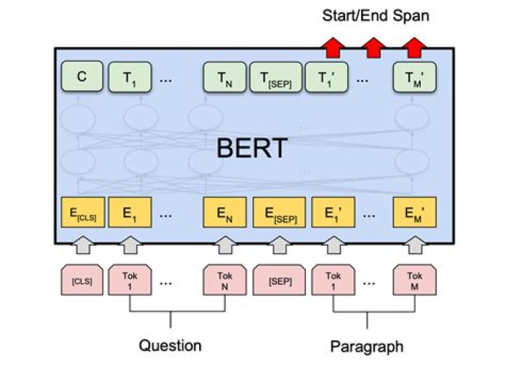 BERT - How To Discuss