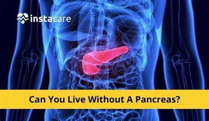 can you live without your pancreas
