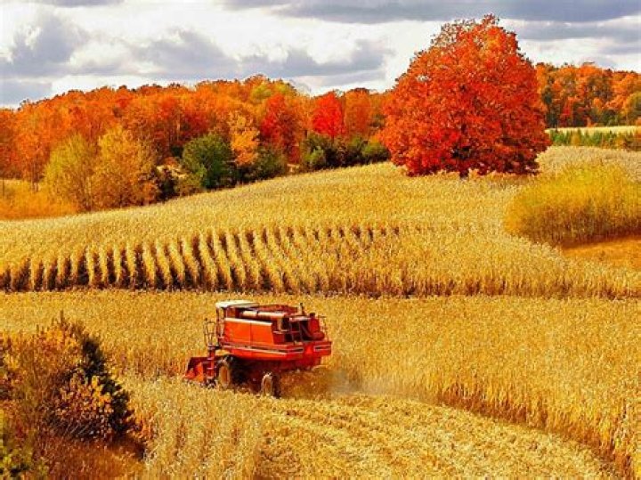 Harvest