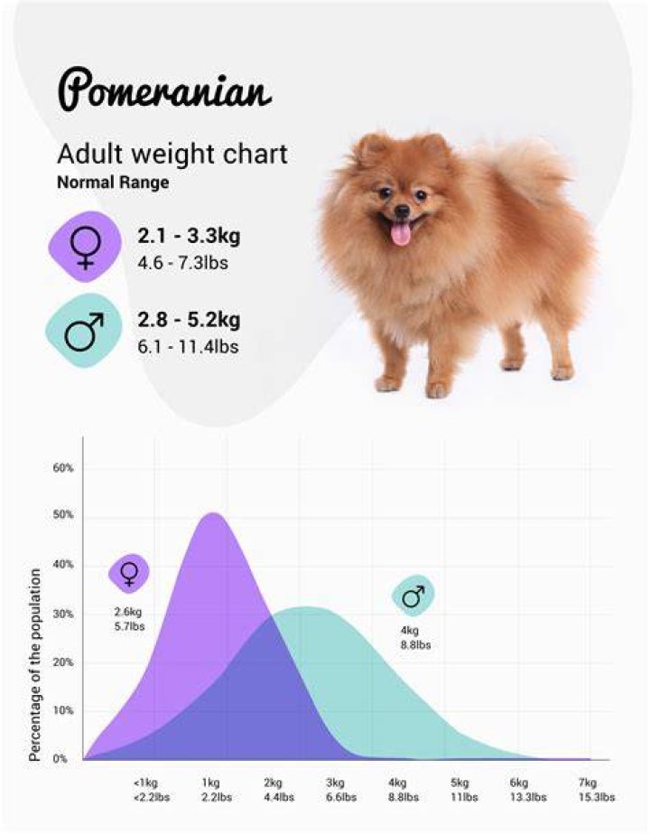 How Long Does 3kg Puppy Food Last How Long Does 3kg Puppy Food Last