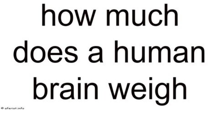 How Much Does A Human Head Weigh How Much Does A Human Head Weigh