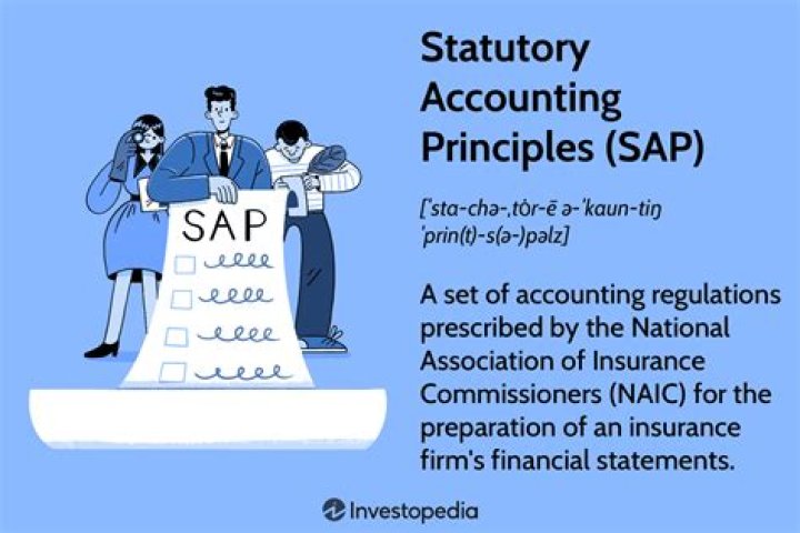 STATUTORY ACCOUNTING PRINCIPLES / SAP