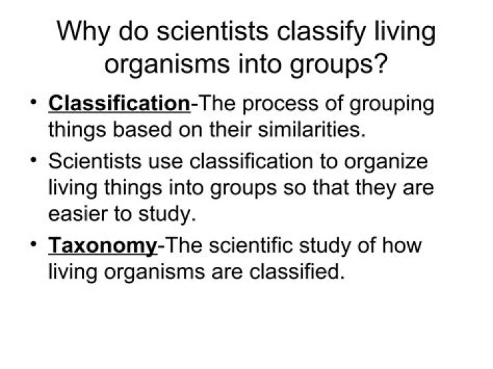 What do scientists call organisms